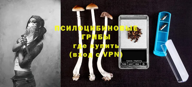 Псилоцибиновые грибы Magic Shrooms  как найти закладки  Свободный 